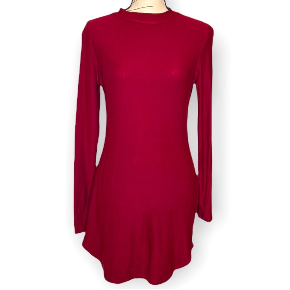 EUC Derek Heart long sleeve mock neck dress.